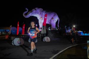 BIB: 
                            <button type="button" onclick="openModal(26551948)" class="btn btn-primary btn-sm float-right btn-popup" data-toggle="modal" data-target=".modal-high-quality">
                        <i class="fas fa-shopping-cart"></i> Add to Cart
                    </button>
                                            <button type="button" onclick="isThisMe(26551948, true)" class="btn btn-success btn-sm float-right btn-popup btn-isme hidden" data-toggle="tooltip" data-placement="bottom" title="นี่คือรูปของคุณใช่ไหม คลิกที่นี่เพื่อเอาเข้าอัลบั้ม">
                        <i class="fas fa-plus"></i> Add to album
                    </button>
                    <button type="button" onclick="isThisMe(26551948, false)" class="btn btn-warning btn-sm float-right btn-popup btn-isnotme hidden">
                        <i class="fas fa-ban"></i> Remove from album
                    </button>